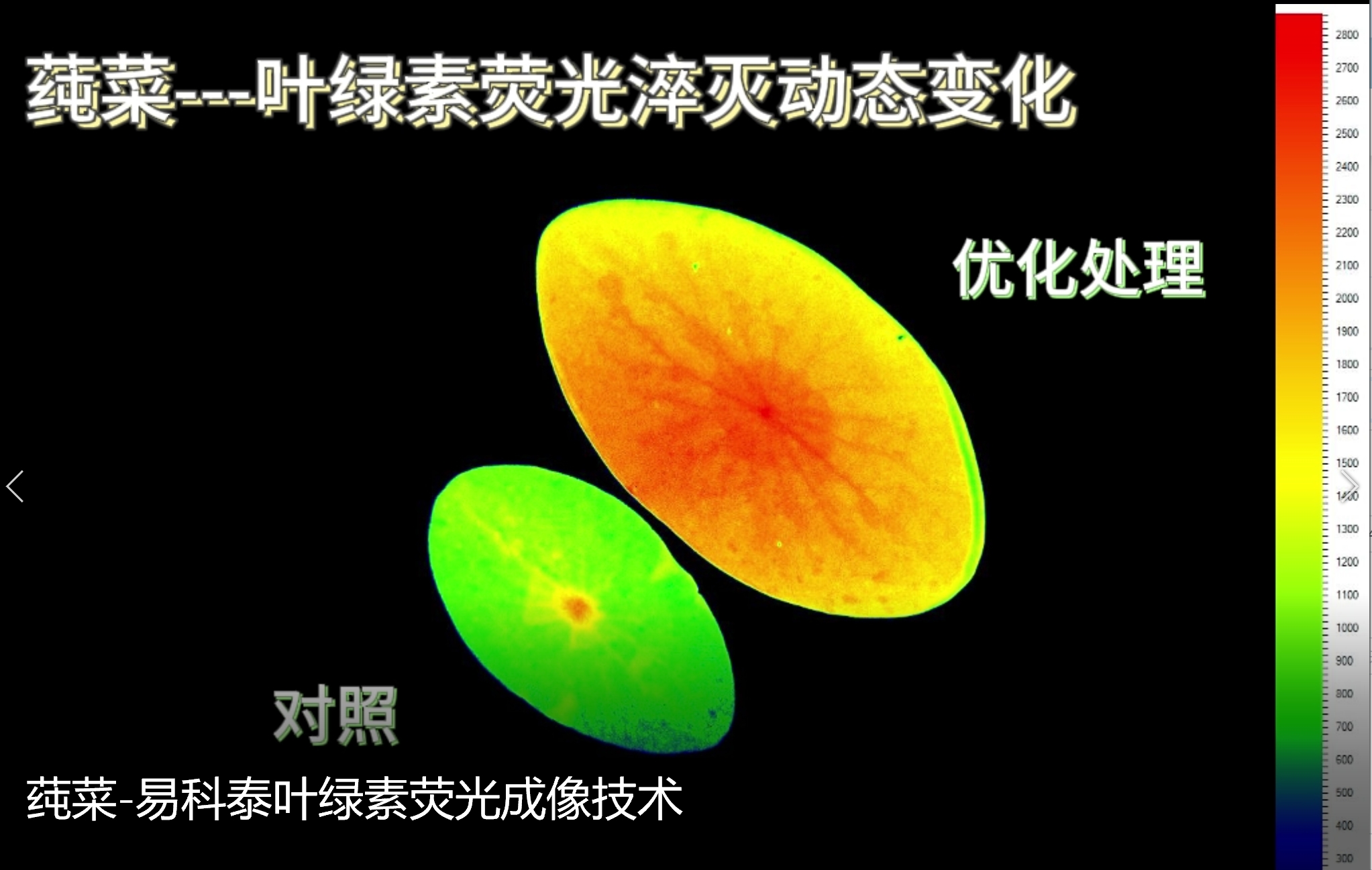 银娱优越会·GEG(中国)股份有限公司