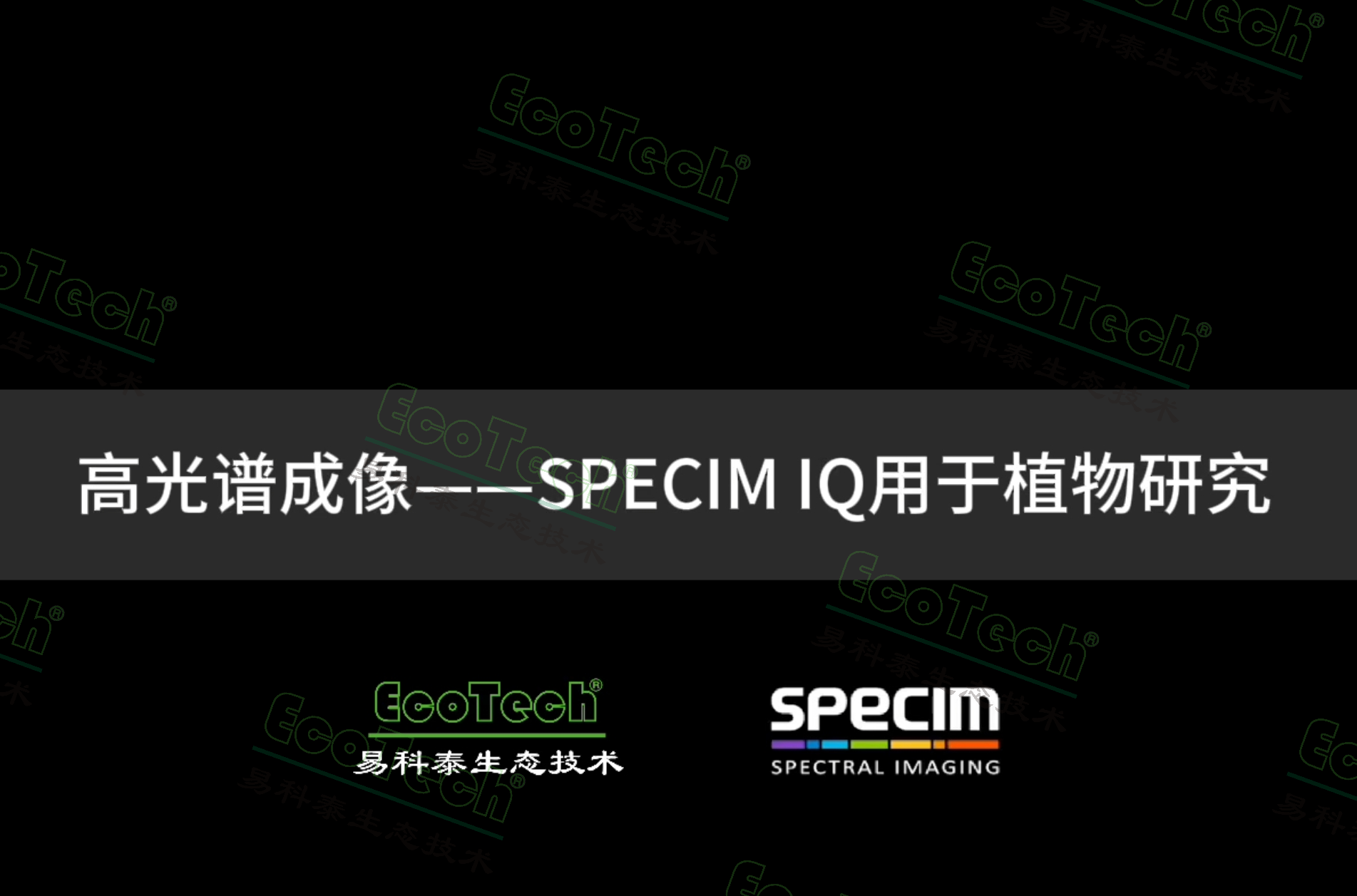 银娱优越会·GEG(中国)股份有限公司