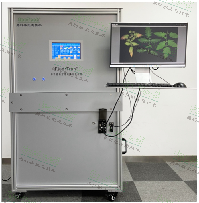新一代农业传感器手艺—— 银娱优越会FluorTron?叶绿素荧光成像手艺