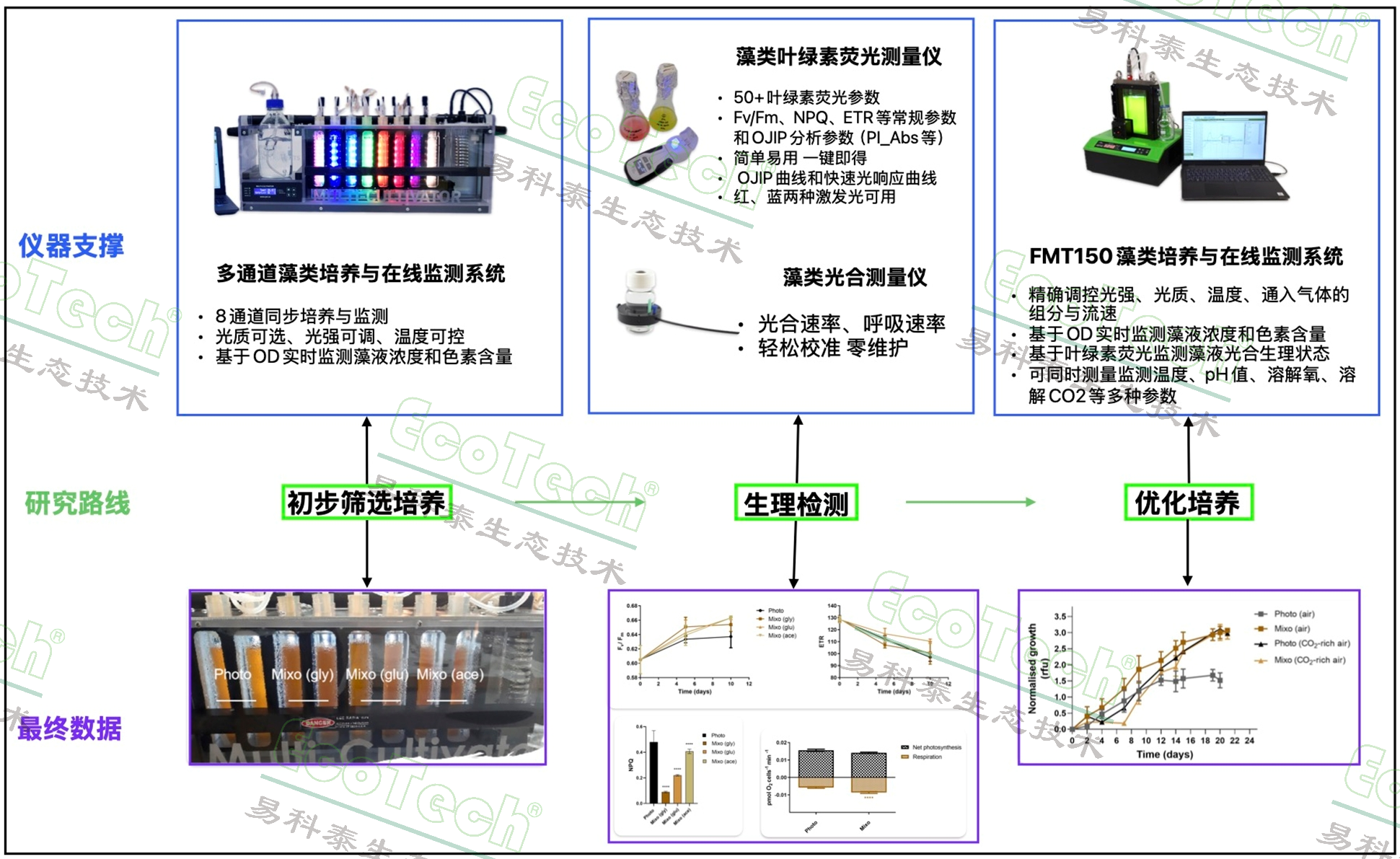 银娱优越会·GEG(中国)股份有限公司