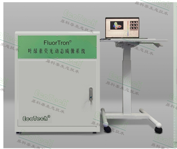 银娱优越会·GEG(中国)股份有限公司