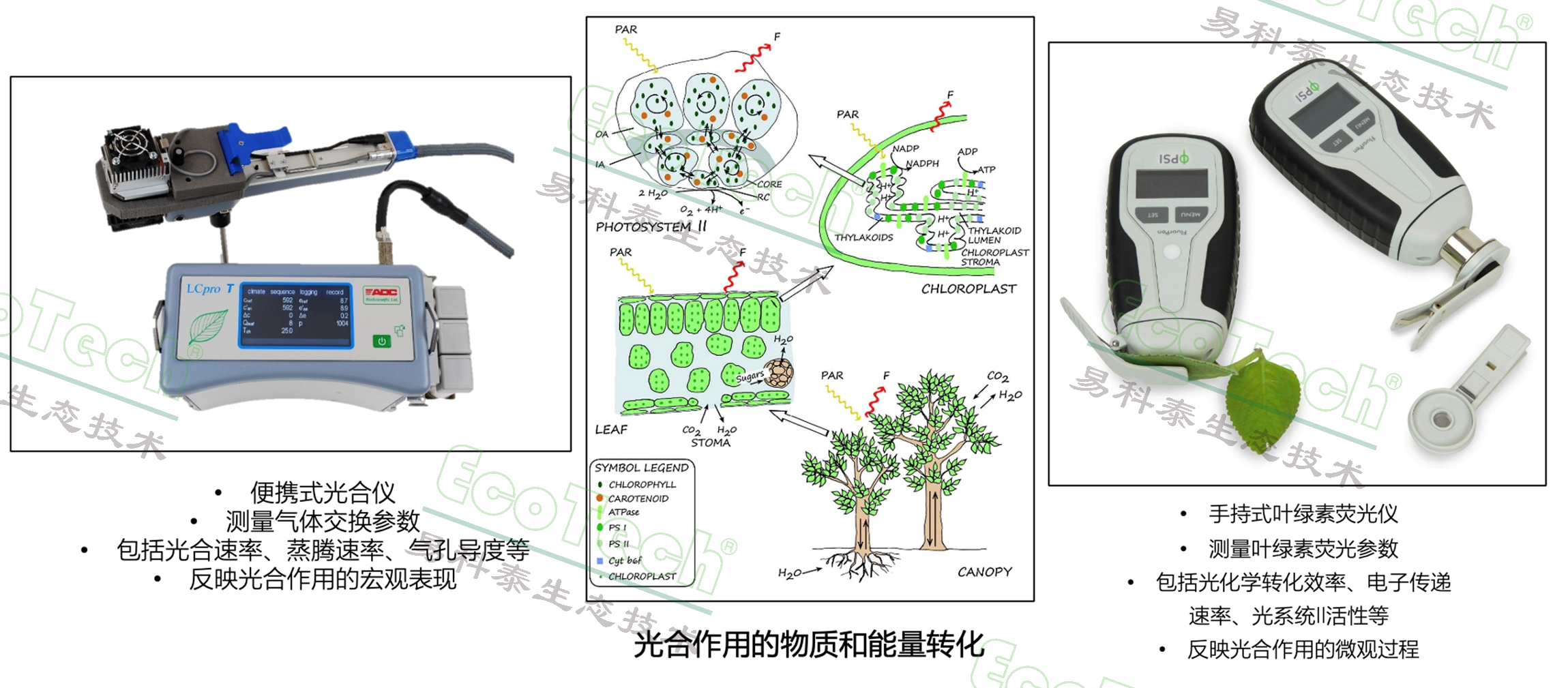 银娱优越会·GEG(中国)股份有限公司
