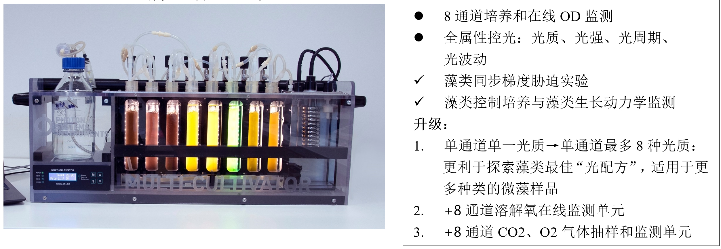 银娱优越会·GEG(中国)股份有限公司