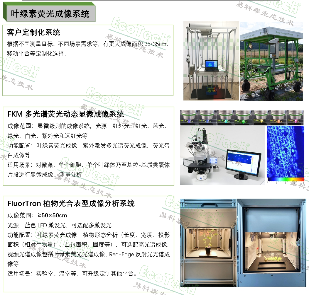 银娱优越会·GEG(中国)股份有限公司