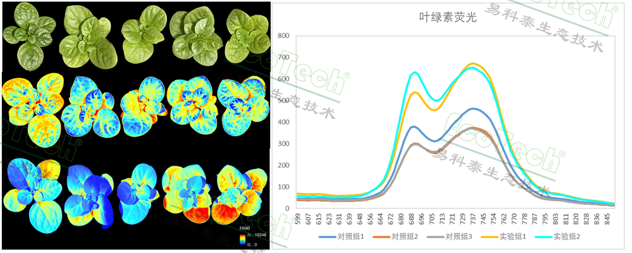银娱优越会·GEG(中国)股份有限公司