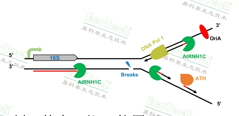 银娱优越会·GEG(中国)股份有限公司