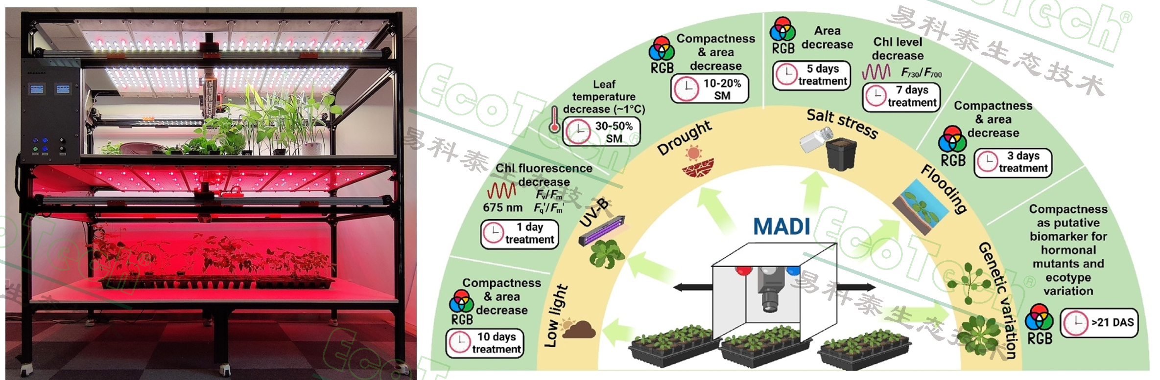 银娱优越会·GEG(中国)股份有限公司