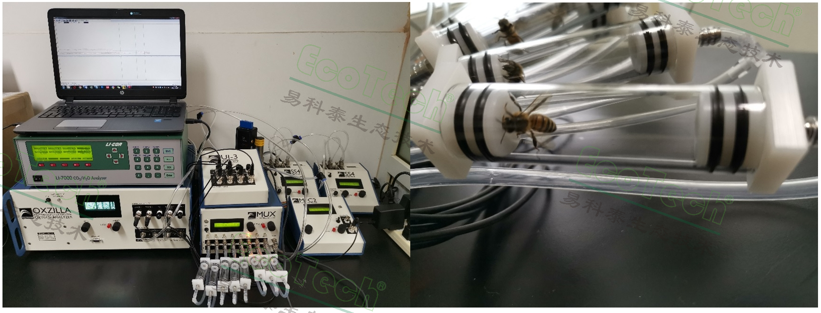 银娱优越会·GEG(中国)股份有限公司