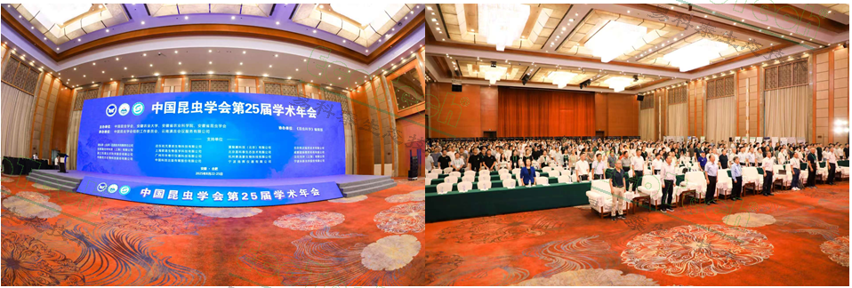 银娱优越会·GEG(中国)股份有限公司