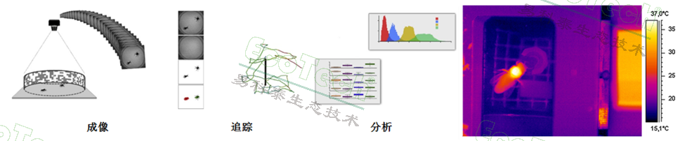 银娱优越会·GEG(中国)股份有限公司