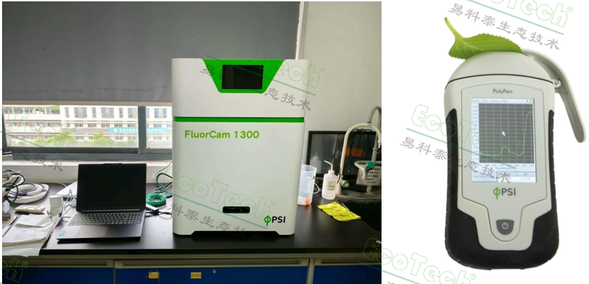 银娱优越会·GEG(中国)股份有限公司