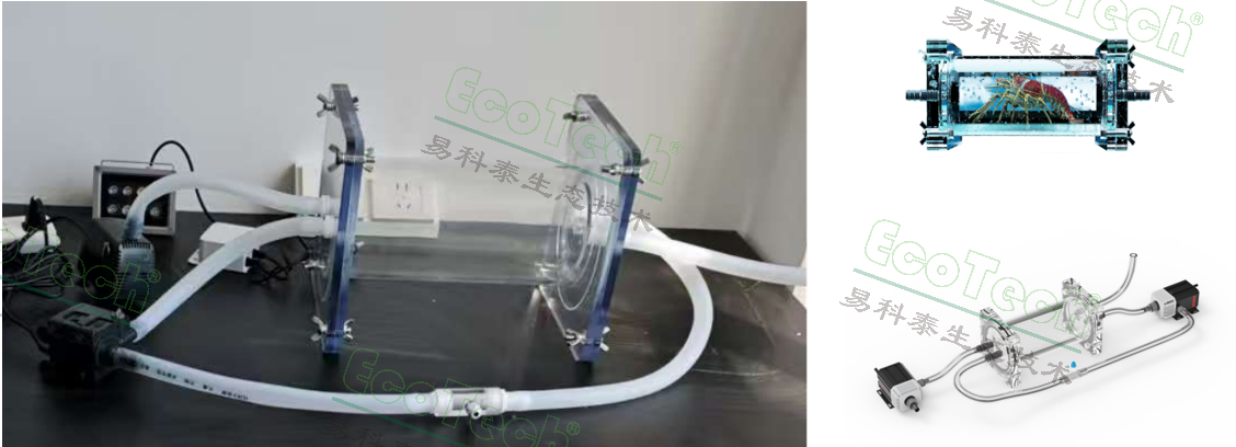 银娱优越会·GEG(中国)股份有限公司