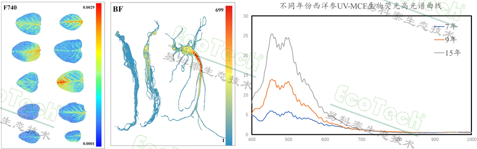 银娱优越会·GEG(中国)股份有限公司