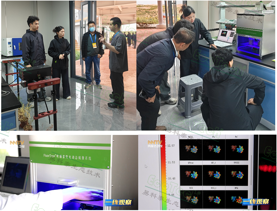 银娱优越会·GEG(中国)股份有限公司