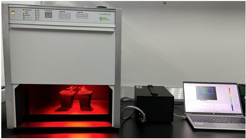 FluorCam多功效植物效率剖析系统
